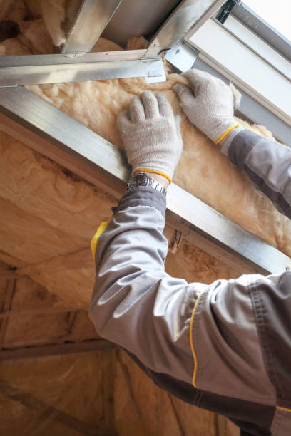 Best Commercial Insulation in Hesston, KS